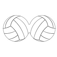 needlecase volleyball inside